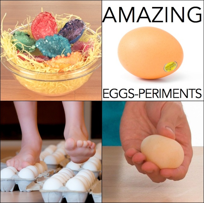 weird science: naked egg experiment - on-hand modern