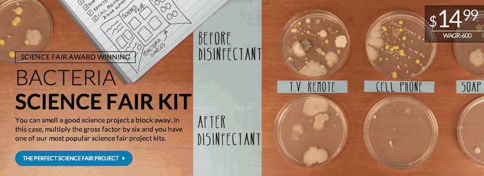Density Science Fair Project