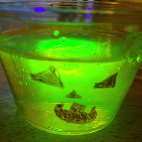 Halloween Glow in the Dark Slime Party Favors | Steve Spangler Science