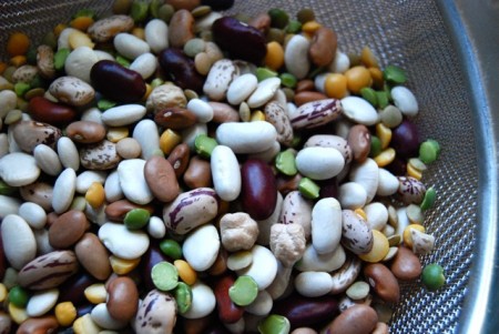 See? Many different kinds of beans! 