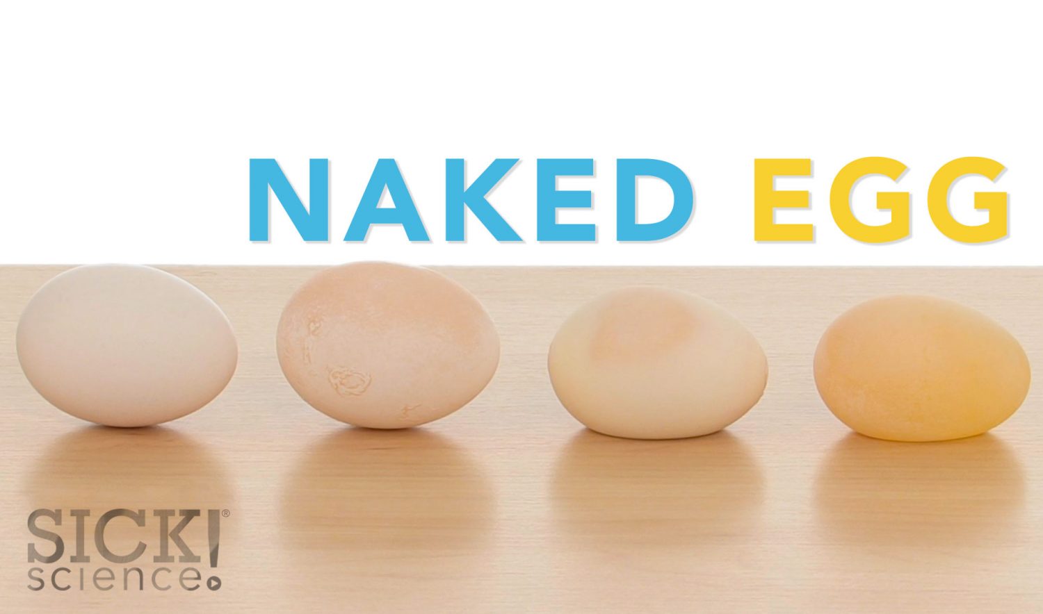 The Naked Egg