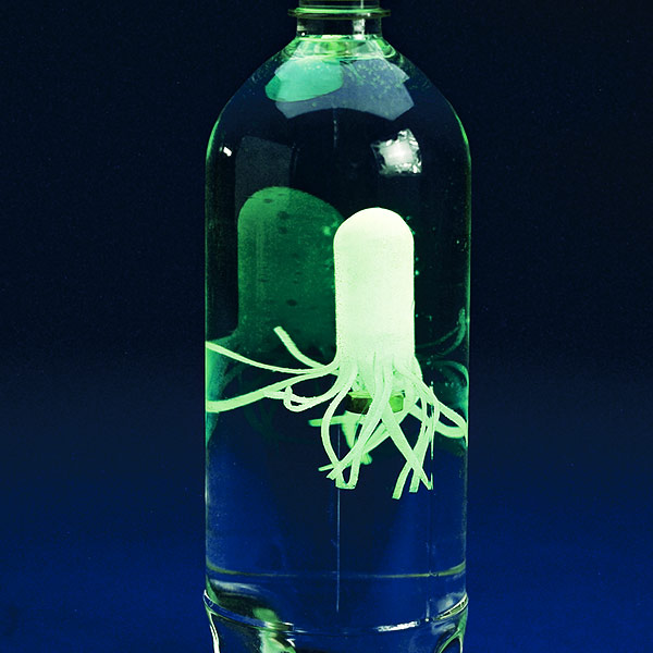 Glow-in-the-Dark Squidy Cartesian Diver