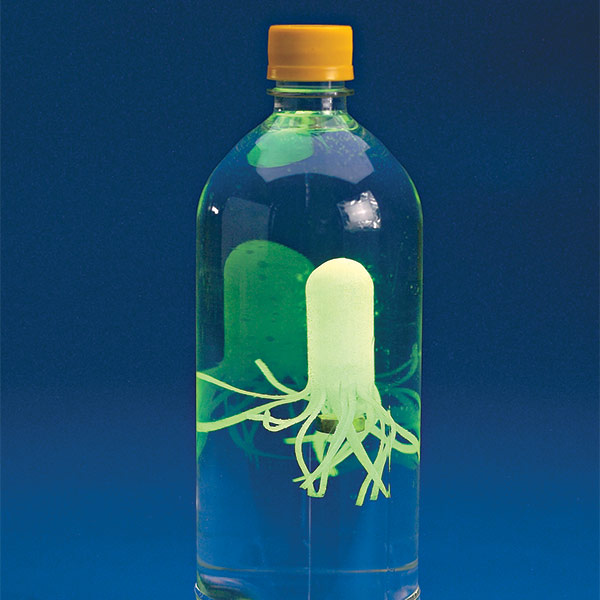 Glow-in-the-Dark Squidy Cartesian Diver