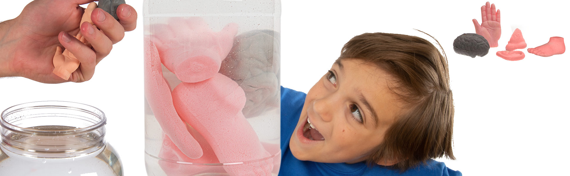 Growing Body Parts Jar