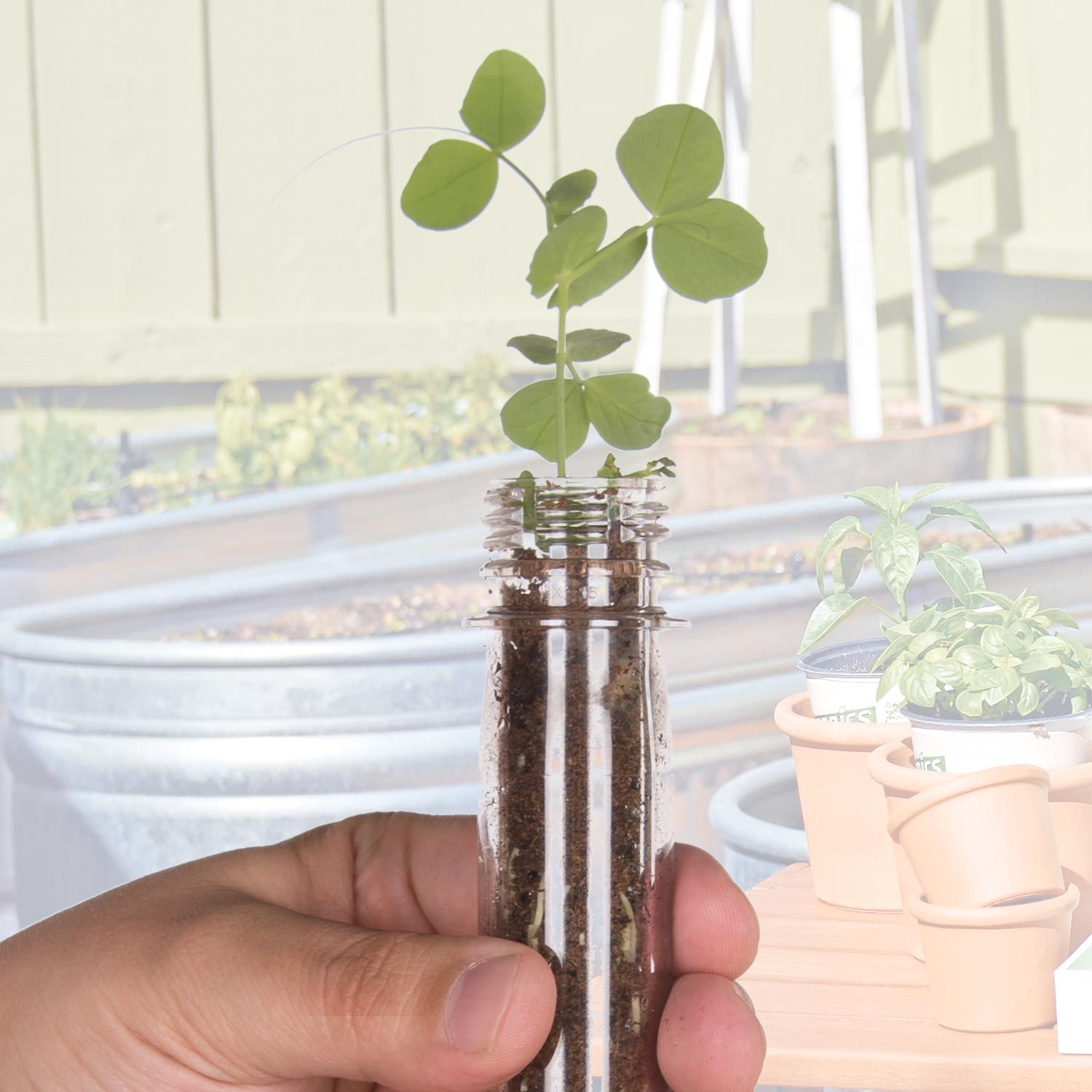 Big Bucket of Science - Garden Test Tube