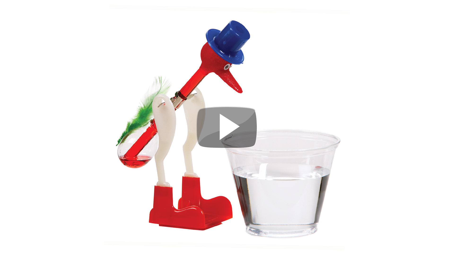 Drinking Bird