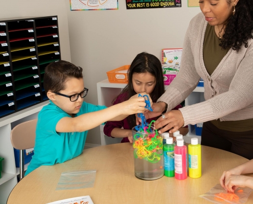 Storytime Science - Diary of a Worm Activity Kit