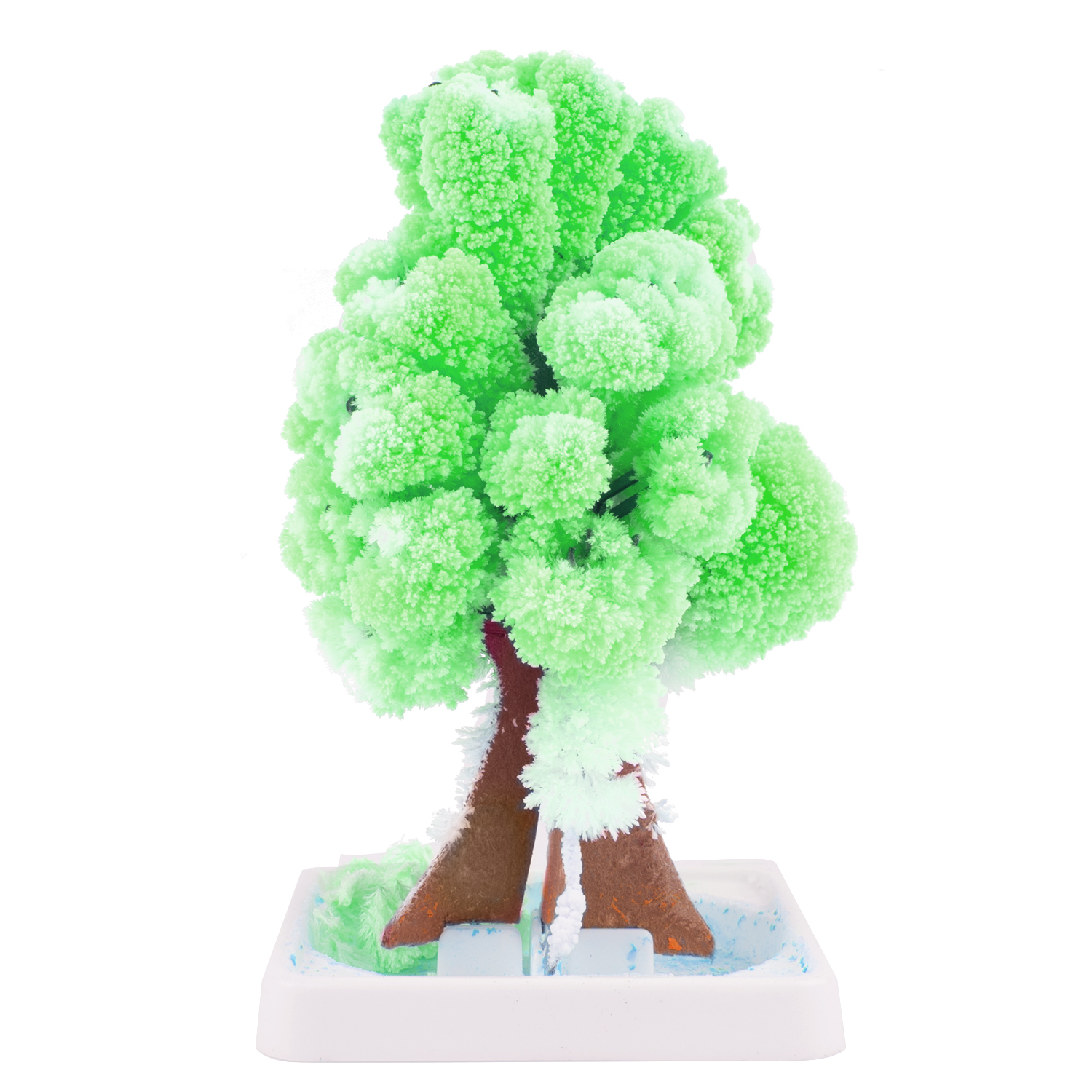 Magic Tree (5 Pack)