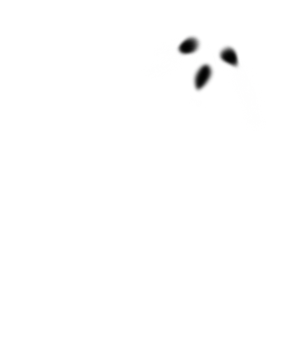 ghost 4