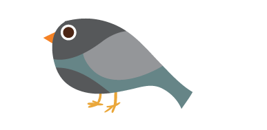 bird