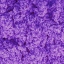 Foam Alive - Purple