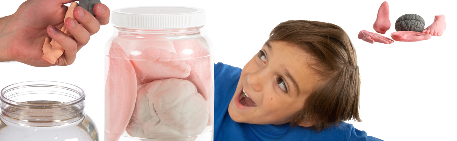 Growing Body Parts Jar – Half Gallon