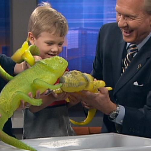 grow a dinosaur in water